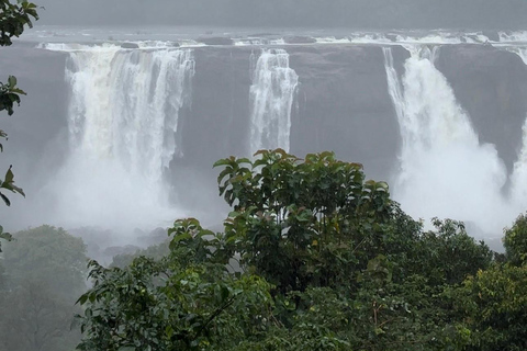 Depuis Kochi : Excursion d&#039;une journée aux chutes d&#039;eau d&#039;Athirappilly avec transferts