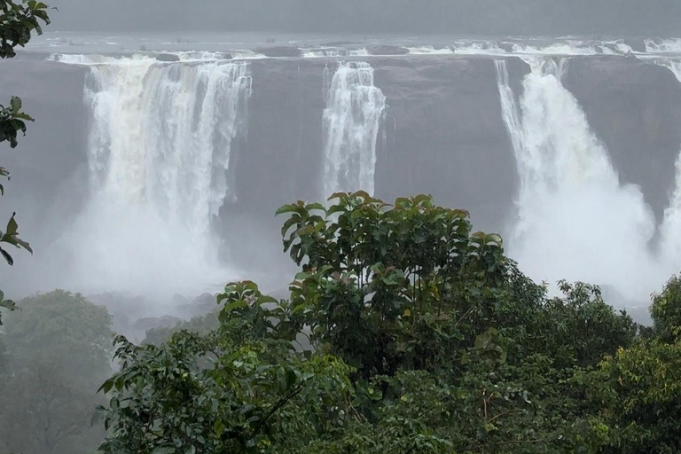 Depuis Kochi : Excursion d&#039;une journée aux chutes d&#039;eau d&#039;Athirappilly avec transferts