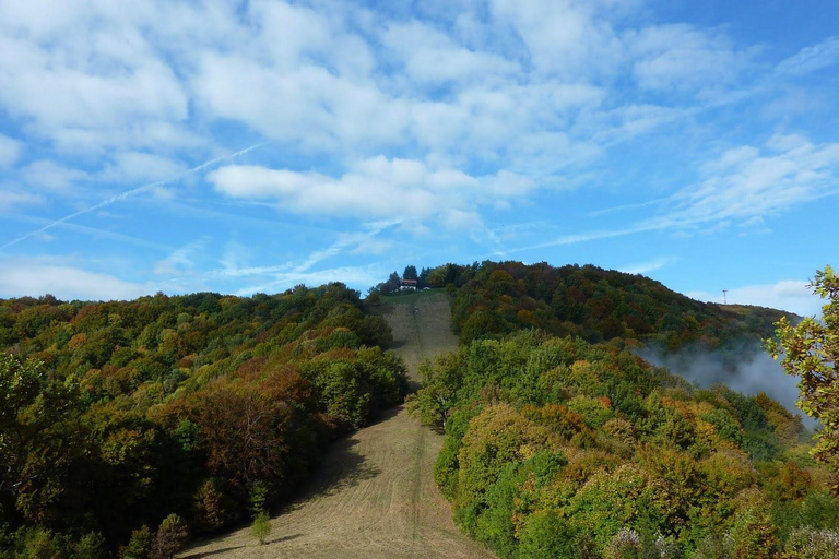 Zagreb: Japetić Viewpoint Hike & Plešivica Wine Tasting