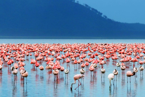 Safari di 2 giorni con i fenicotteri sul lago Nakuru e giro in barca sul lago Naivasha