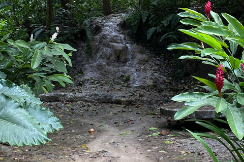 Cartagena: Guided Experience in the Botanical Garden