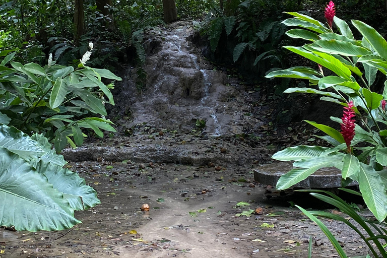 Cartagena: Guided Experience in the Botanical Garden