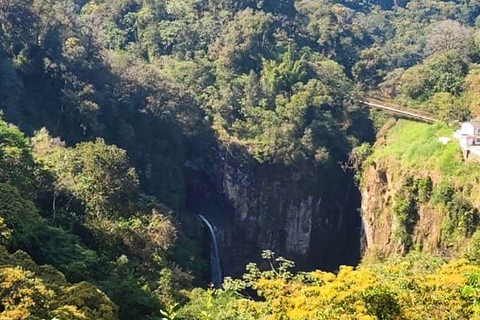 Teocelo: Honey and Cane Tour: Apiary, Waterfall, and Cane Spirit Teocelo: Honey and Sugarcane Route—Apiary, Waterfall, and Sugarcane Distillery