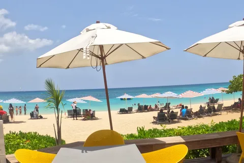 Marijuana Farm, Bamboo Rafting and Doctors Cave Beach Tour