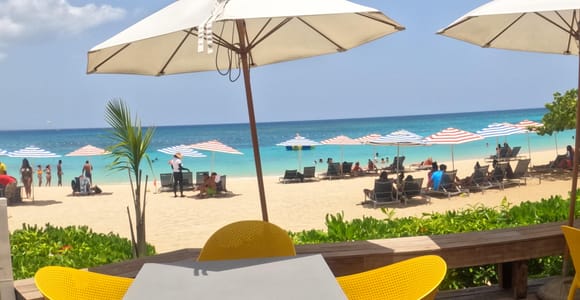 Marijuana Farm, Bamboo Rafting and Doctors Cave Beach Tour