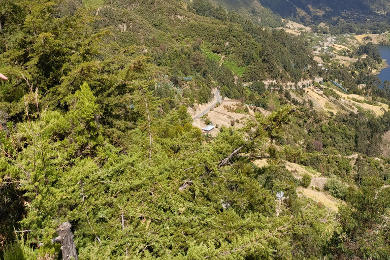from Addis Ababa, wonchi Lake Suba Hills & Hot Springs