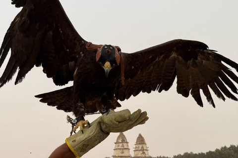 Hurghada: Jeep Safari, piantumazione di alberi e pranzo "dalla fattoria alla tavola"Hurghada: safari in jeep, piantumazione di alberi e pranzo "dalla fattoria alla tavola"