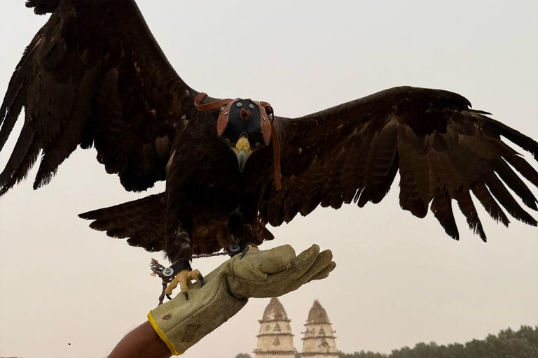 Hurghada: Jeep Safari, piantumazione di alberi e pranzo "dalla fattoria alla tavola"Hurghada: safari in jeep, piantumazione di alberi e pranzo "dalla fattoria alla tavola"