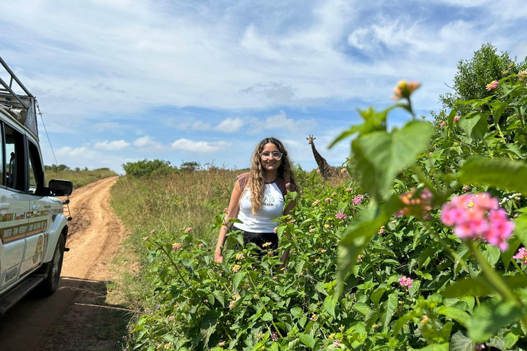 Afternoon Safari from Durban