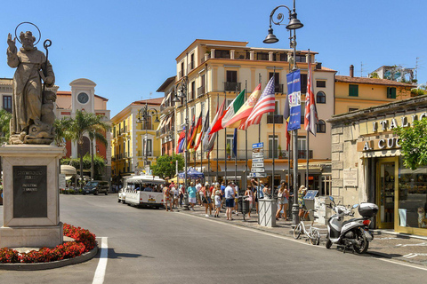 Sorrento y Positano: visita privada desde Nápoles