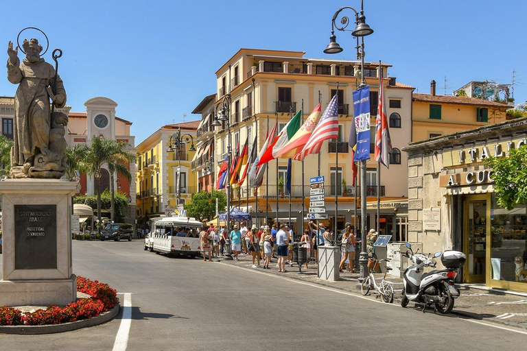 Sorrento en Positano: privétour vanuit Napels