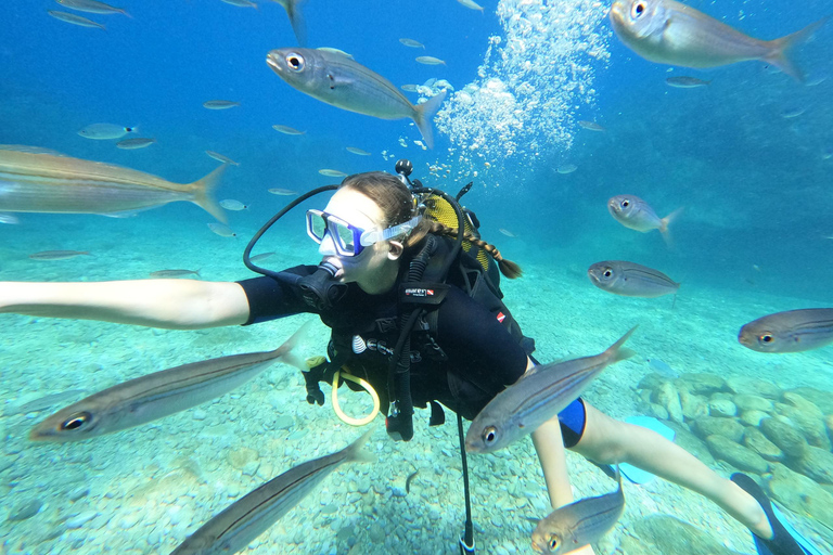 Alanya: PADI Discover Dive & Certified Training Options First Time Diving Option