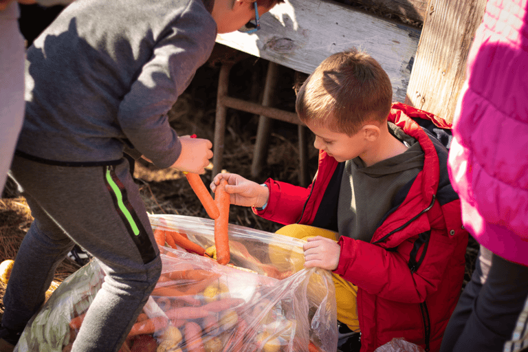 From Budva: Tour of Donkey Farm