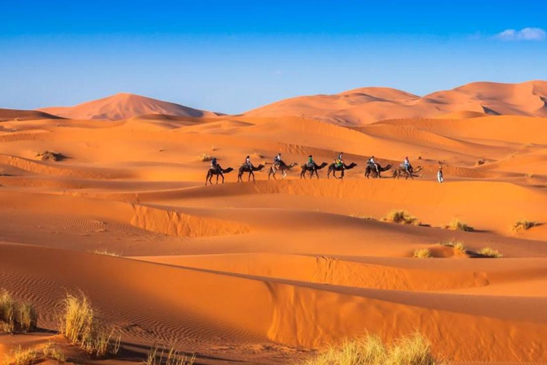 Au départ de Fès : excursion de 2 jours dans le désert de Merzouga avec tente de luxe et dîner