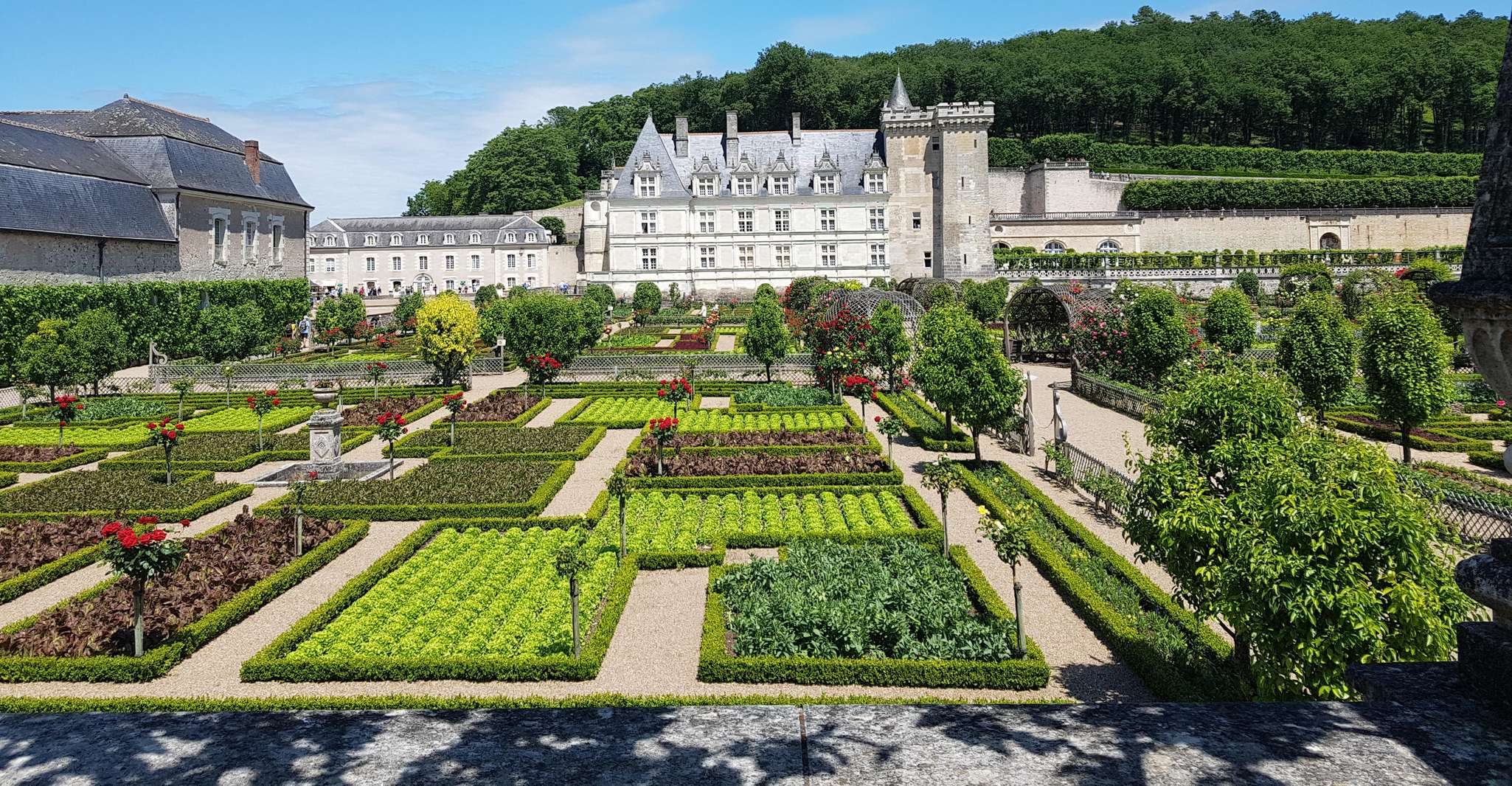 Van Tours, Villandry, Azay-le-Rideau & Vouvray Winery - Hizvo