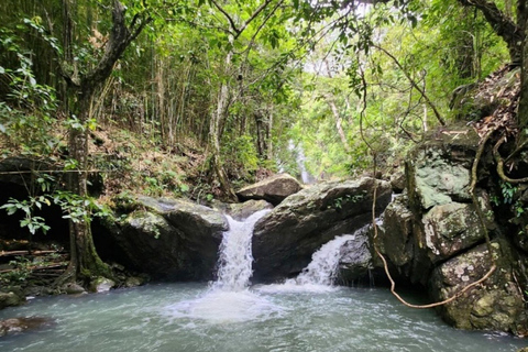 Nadi: Wycieczka do wodospadu z przekąskami i lunchemNadi: Wycieczka do wodospadu z poczęstunkiem i lunchem