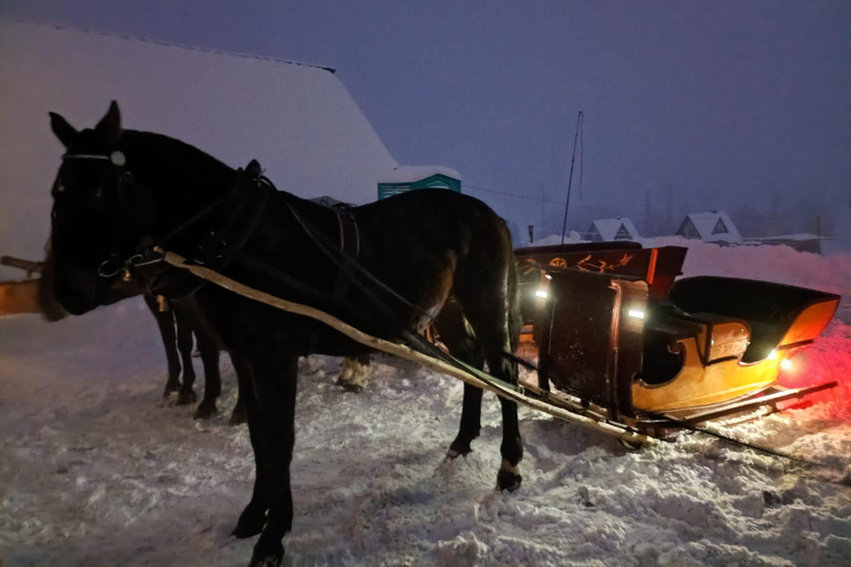 Krakow: Zakopane Snowmobile & Kulig Day Trip with Dinner