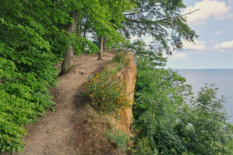 Gdynia: Forest, Cliff, and Beach Guided Walking Tour