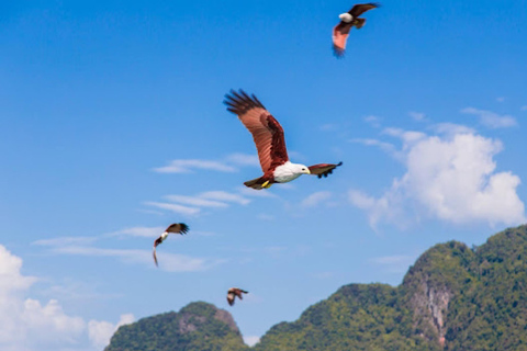 Phang-Nga &amp; James Bond 4 in 1 Canoeing Big Boat Luxury Trip