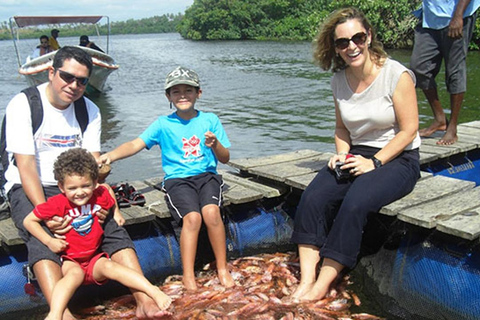 Visite de la ville de Bentota/Aluthgama en Tuk Tuk