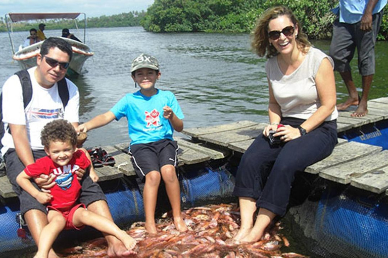 Visite de la ville de Bentota/Aluthgama en Tuk Tuk