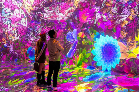 NYC: ARTECHOUSE Immersive Art Experience Entrance Ticket