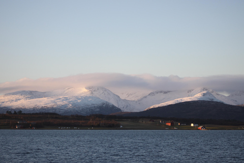 Tromsø: 2-Hour Island Tour Cruise with Snacks and Drinks