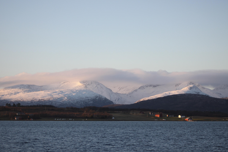 Tromsø: 2-Hour Island Tour Cruise with Snacks and Drinks