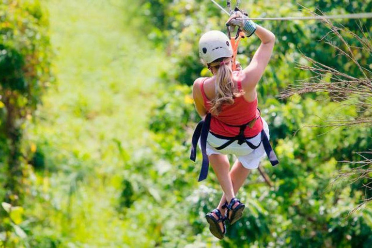 Puerto Maldonado: 4-Day Amazon Rainforest Adventure