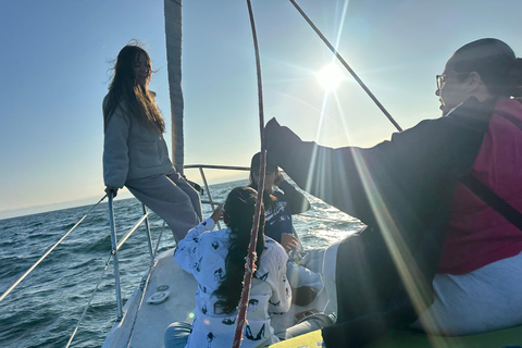 Los Angeles: Marina del Rey Boat Cruise