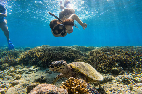 Shared 3 Gili Islands Snorkeling Tour with Turtles & Reefs