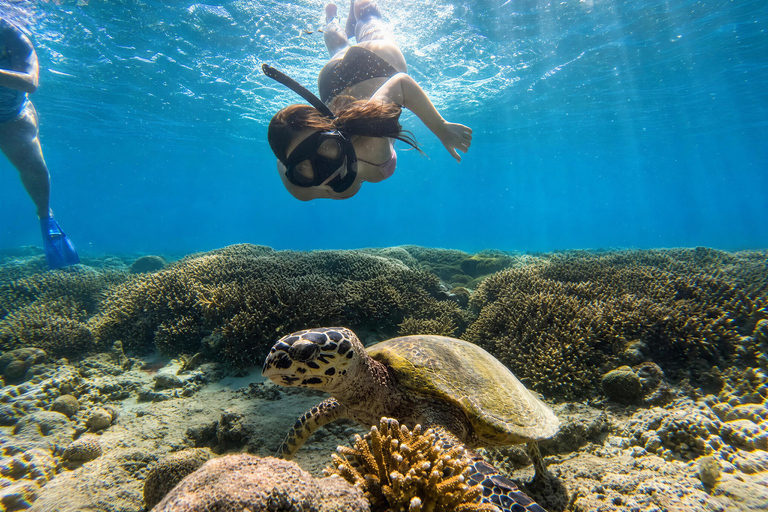 Shared 3 Gili Islands Snorkeling Tour with Turtles & Reefs
