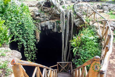 Visita guiada a Uxmal e aos incríveis cenotes com almoço a partir de Mérida