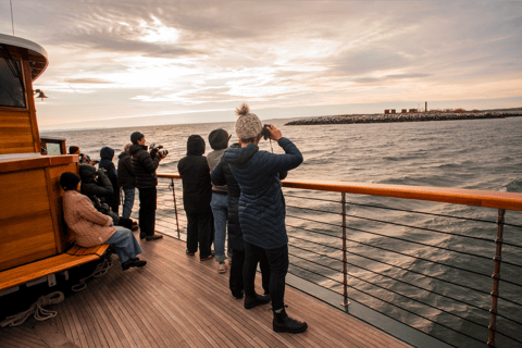 مدينة نيويورك جولة على متن قارب لمشاهدة معالم الحياة البرية والفقمة والطيور في فصل الشتاء