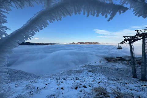 Shahdag: 100% Snow Guaranteed tour with Candy Mountains