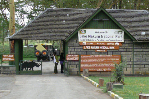 Z Nairobi: Wycieczka całodniowa do Parku Narodowego Lake Nakuru