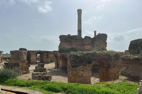 Tunis, Carthage & Bardo Museum: A Journey Through History From Mahdia