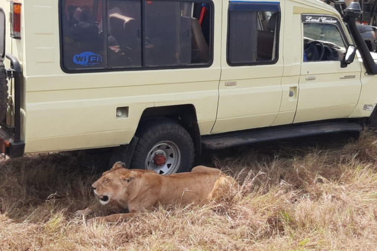 Kenia: 3 Daagse privé safari naar Masai MaraE