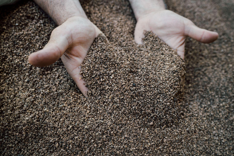 Dégustation de charcuterie et d&#039;huile d&#039;olive et visite près de Pise et Livourneanglais