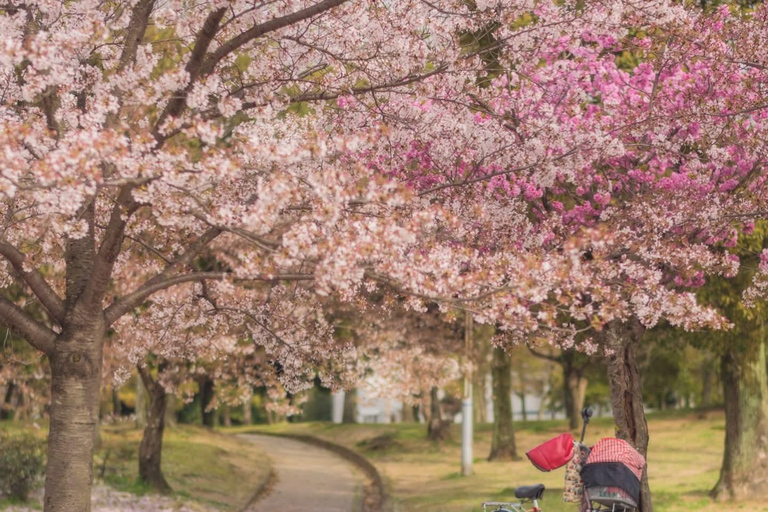 Tokyo: Mt. Fuji & Gotemba Premium Outlets Private Day Tour