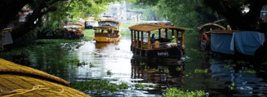 Visite d'une journée dans les eaux calmes d'Alappuzha