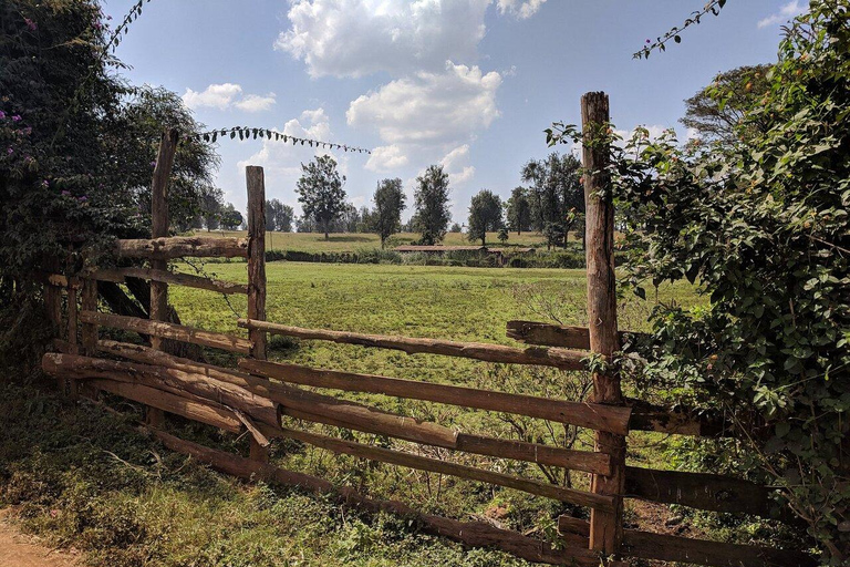 Nairobi:Fairview Coffee Farm Tour &Coffee Tasting Experience