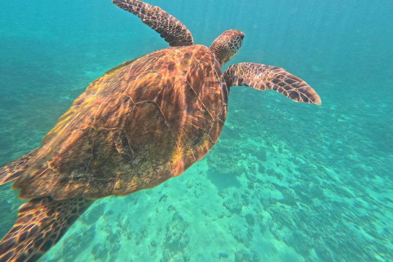 Muscat: Daymaniyat Islands Boat & Snorkel Trip