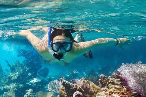 From Dubai-SHJ-Ajman-RAK: Snorkeling Trip in Dibba Musandam