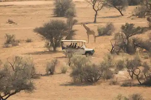 Game drive in Victoria Falls