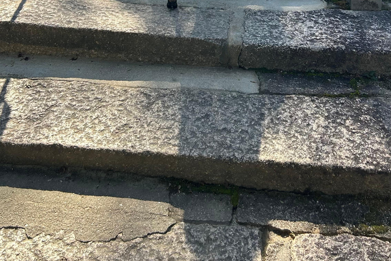 Hiroshima & Miyajima: 6.5-Hour Private Tour (Spanish Guide)