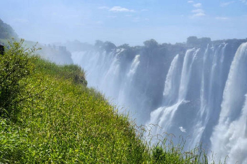 Sunrise Tour of Victoria Falls via Big Tree & Falls Bridge
