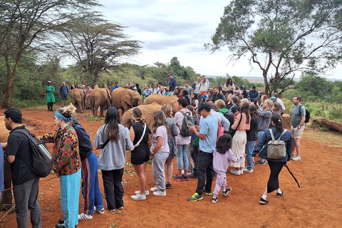 Nationalpark, Giraffenzentrum und Elefantenbaby in Nairobi