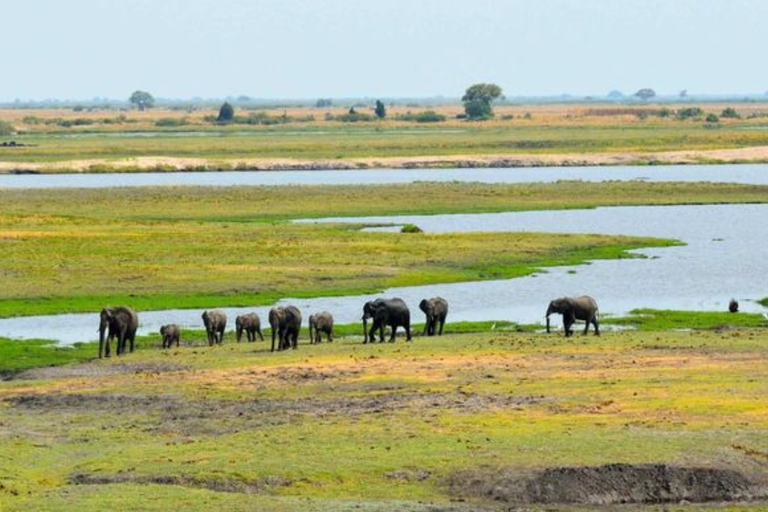 Victoria Falls: Chobe National Park Safari & River Cruise
