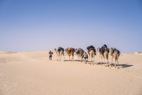 La guerre des étoiles et le coucher de soleil dans le désert à Ksar Ghilane